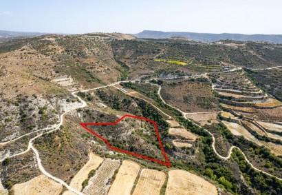Dora, Limassol Agricultural Land For Sale | C7290