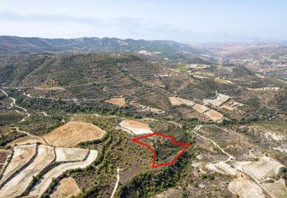 Dora, Limassol Agricultural Land For Sale | C7291
