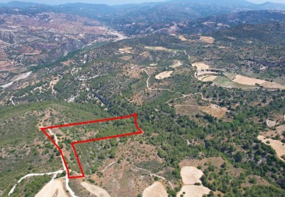 Prastio Pafou, Paphos Agricultural Land For Sale | C7308