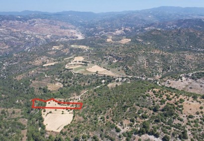 Mousere, Paphos Agricultural Land For Sale | C7314