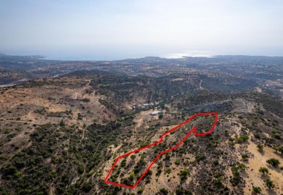 Pegeia, Paphos Agricultural Land For Sale | C7396