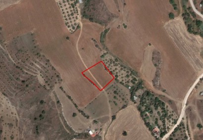 Mitsero, Nicosia Agricultural Land For Sale | C7659