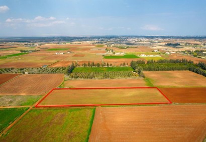 Frenaros, Famagusta Agricultural Land For Sale | C7701