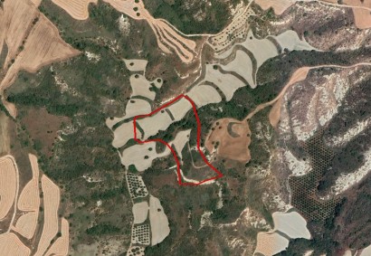 Steni, Paphos Agricultural Land For Sale | C7805