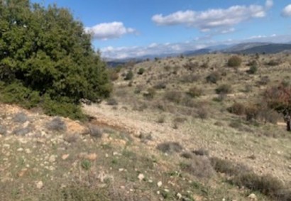 Nata, Paphos Agricultural Land For Sale | C8137