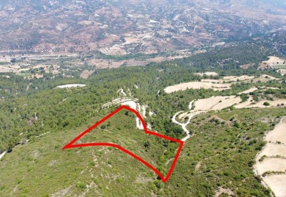 Prastio Pafou, Paphos Agricultural Land For Sale | C8224