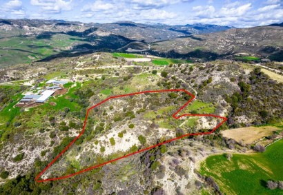 Dora, Limassol Agricultural Land For Sale | C8296