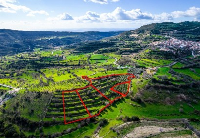 Dora, Limassol Residential Land For Sale | C8310