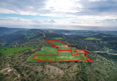 Choirokoitia, Larnaca Agricultural Land For Sale | C8380