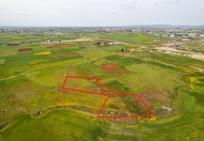 Palaiometocho, Nicosia Agricultural Land For Sale | C8437
