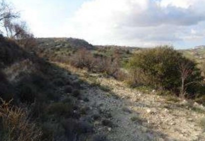 Nata, Paphos Agricultural Land For Sale | C8461