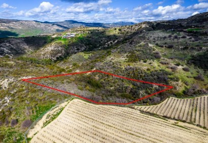 Dora, Limassol Agricultural Land For Sale | C8590