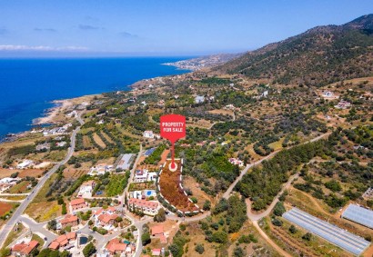 Nea Dimmata, Paphos Residential Land For Sale | C8645