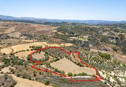 Thrinia, Paphos Agricultural Land For Sale | C8869
