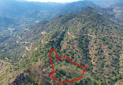 Arakapas, Limassol Agricultural Land For Sale | C8873