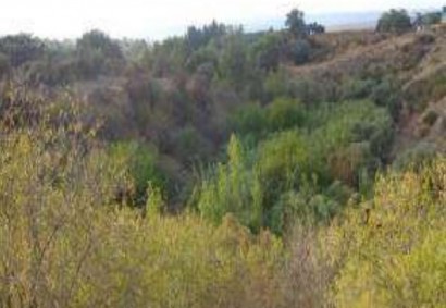 Argaka, Paphos Residential Land For Sale | C8887