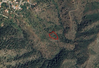 Pigenia, Nicosia Agricultural Land For Sale | C9400