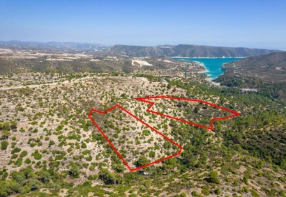 Pegeia - Agios Georgios Agricultural Land For Sale | C9423