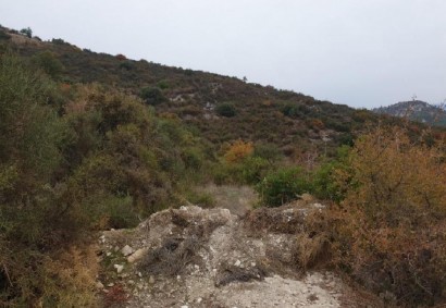 Gerasa, Limassol Agricultural Land For Sale | C9425