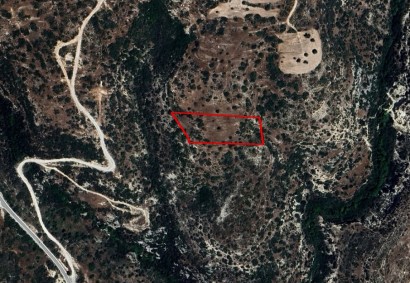 Anogyra, Limassol Agricultural Land For Sale | C9498
