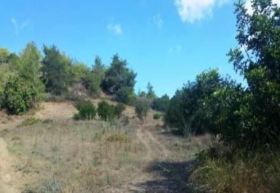 Peristerona Pafou Agricultural Land For Sale | C9554
