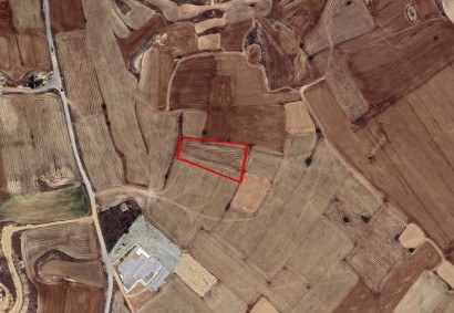 Agia Varvara Lefkosias Agricultural Land For Sale | C9750