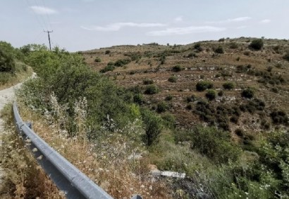 Tsada, Paphos Agricultural Land For Sale | C9785