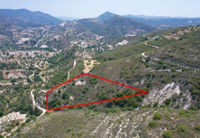 Gerasa, Limassol Agricultural Land For Sale | C9887