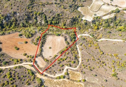 Dora, Limassol Agricultural Land For Sale | C9892