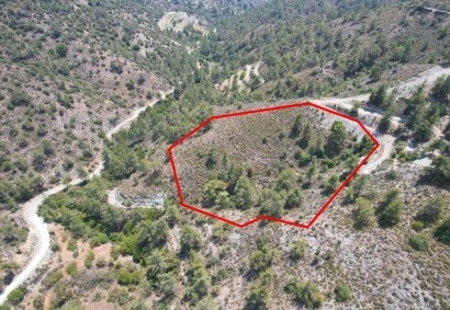 Gerasa, Limassol Agricultural Land For Sale | C9896