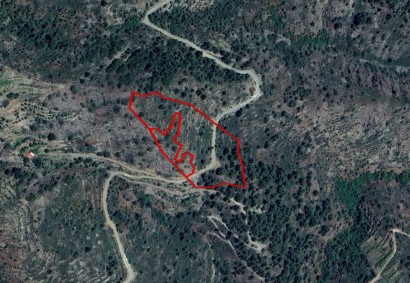 Askas, Nicosia Agricultural Land For Sale | C9944