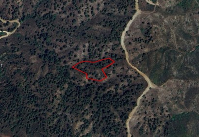 Kakopetria, Nicosia Agricultural Land For Sale | C9945