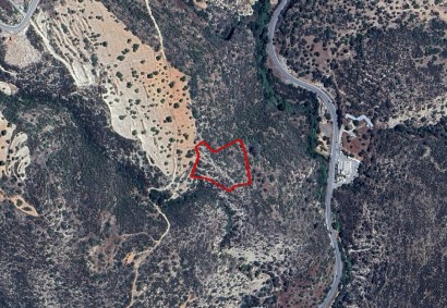 Gerasa, Limassol Agricultural Land For Sale | C9953