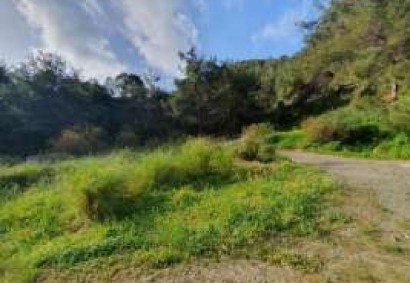 Pomos, Paphos Agricultural Land For Sale | C9979