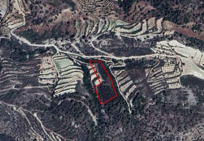 Kapileio, Limassol Agricultural Land For Sale | C10021