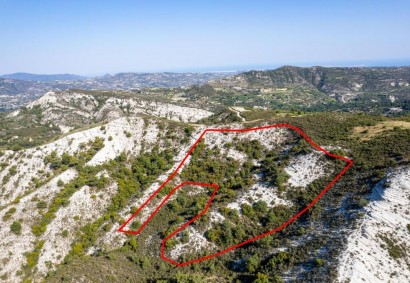 Pera Pedi, Limassol Agricultural Land For Sale | C10045
