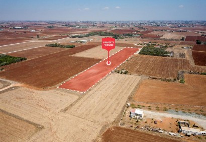 Avgorou, Famagusta Agricultural Land For Sale | C10143