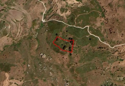 Drouseia, Paphos Agricultural Land For Sale | C10222