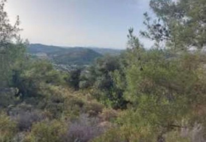 Psevdas, Larnaca Agricultural Land For Sale | C10294
