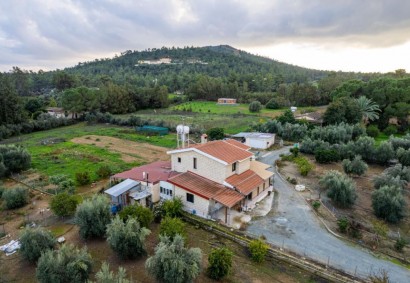 Perivolia Larnakas Detached Villa For Sale | C10345