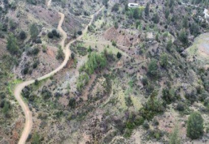 Kalo Chorio Lemesou Agricultural Land For Sale | C10538