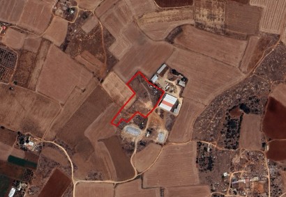 Avgorou, Famagusta Agricultural Land For Sale | C10558