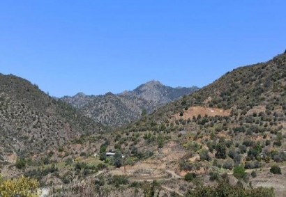 Arakapas, Limassol Agricultural Land For Sale | C10753