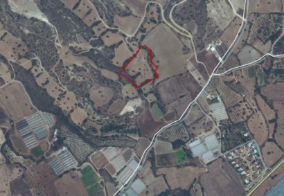 Agios Theodoros Agricultural Land For Sale | C10841