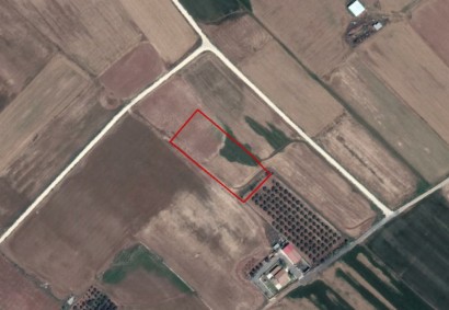 Astromeritis, Nicosia Agricultural Land For Sale | C10858