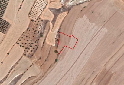 Agia Varvara Lefkosias Agricultural Land For Sale | C10862