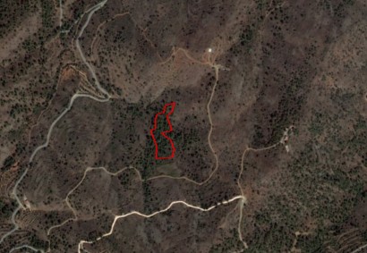 Fikardou, Nicosia Agricultural Land For Sale | C10864
