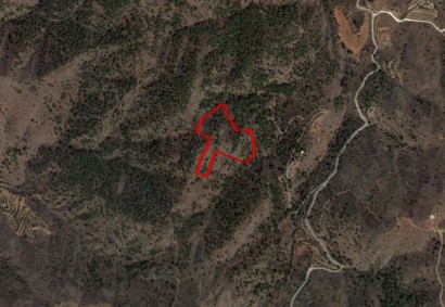 Fikardou, Nicosia Agricultural Land For Sale | C10884