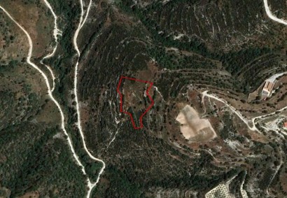 Dora, Limassol Agricultural Land For Sale | C10977
