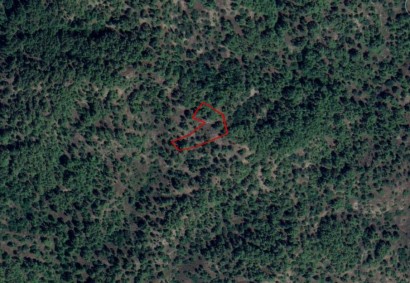 Pera Pedi, Limassol Agricultural Land For Sale | C10978